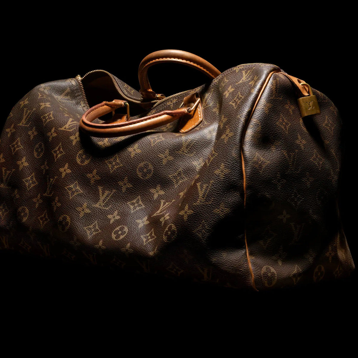 Women's Speedy Trunk 20 Monogram Canvas Handbag M13146