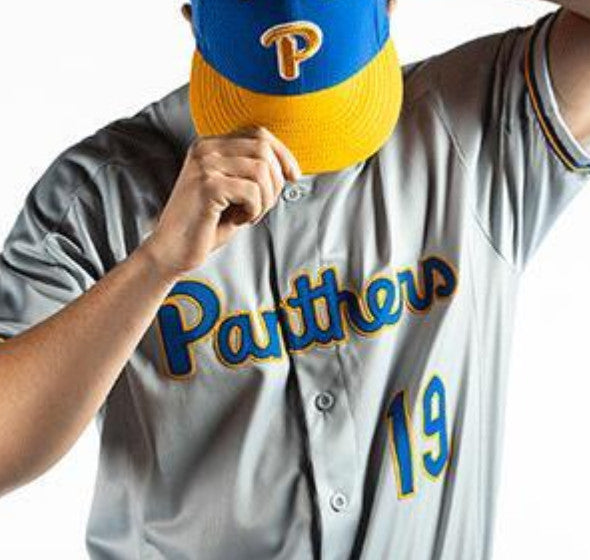 Custom Custom PITT Pittsburgh Panthers Gray Baseball Jersey