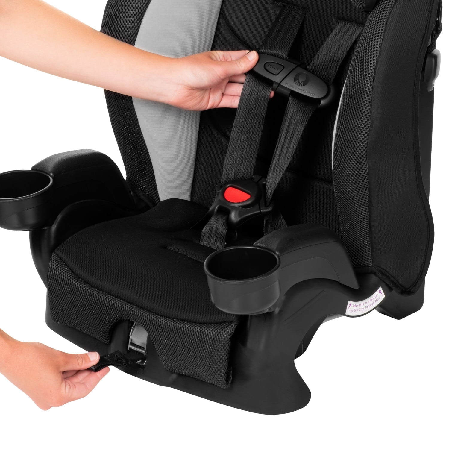 Evenflo Chase Plus 2-in-1 Harnessed Booster Car Seat