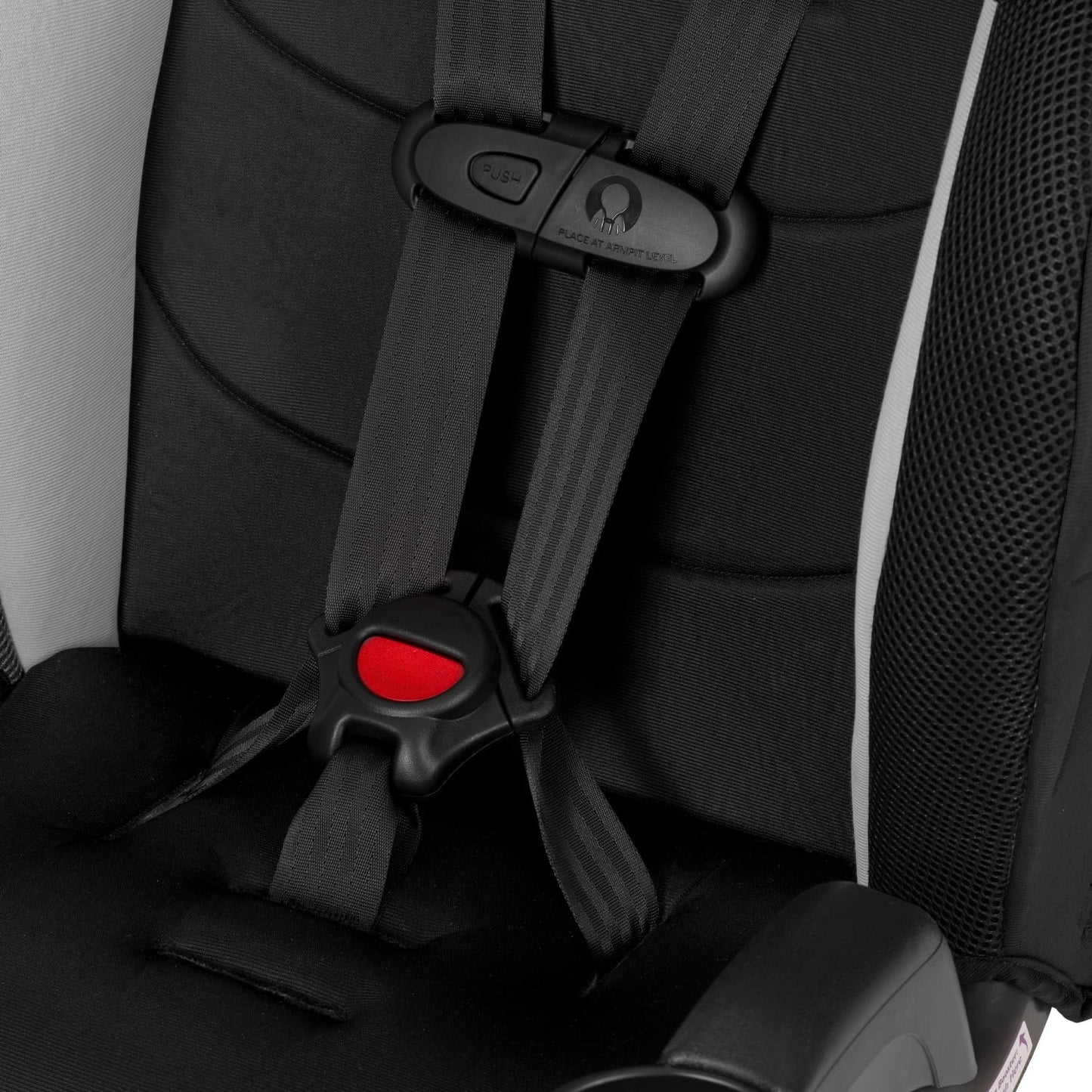 Evenflo Chase Plus 2-in-1 Harnessed Booster Car Seat