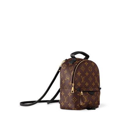 Women's Palm Springs Mini Monogram Coated Canvas Backpack M44873