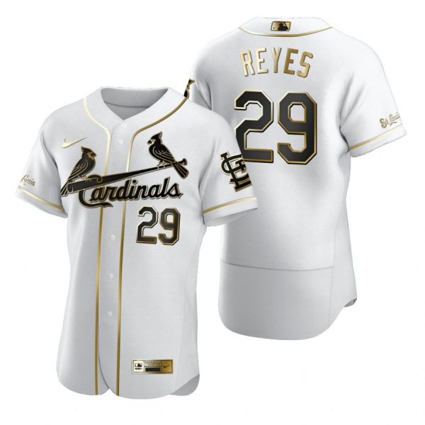 Custom Men’s Alex Reyes St. Louis Cardinals Flex Base Jersey Black Holographic White Golden